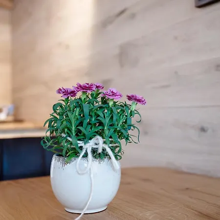 Апартаменты Kramer